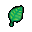 a fern