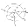 a spider silk